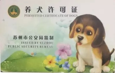 物业、业主必看！小区不文明养犬第一罚，意义