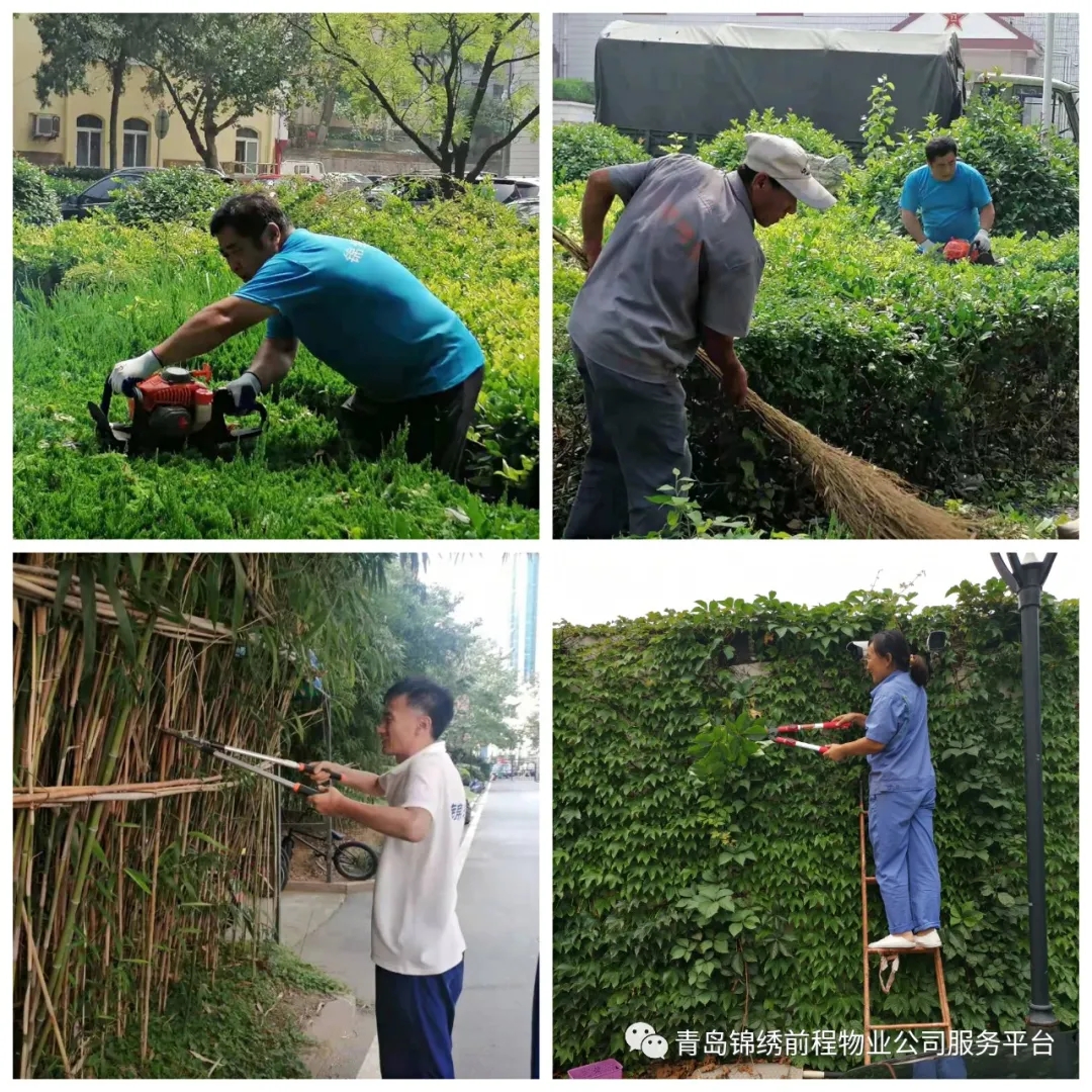 为创城助力,为文明添彩——锦绣人在行动!